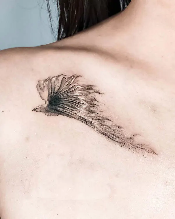 Black and gray phoenix collarbone tattoo