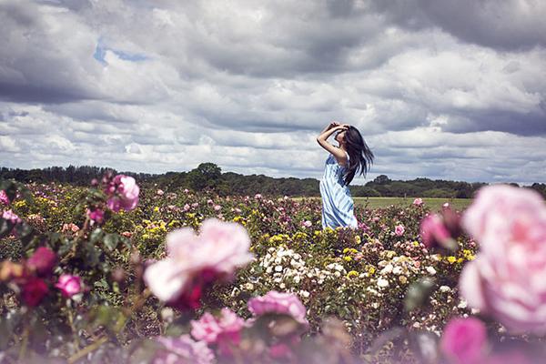 Far and Away by Sarah Ann Wright