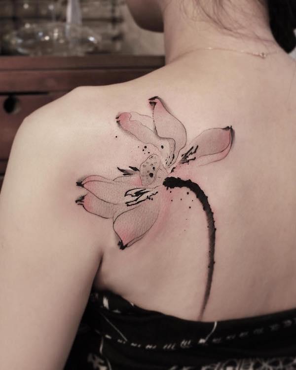 Light pink lotus flower