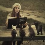 Photography by David D