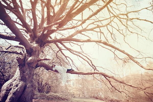 The Dreamer's Tree by Sarah Ann Wright