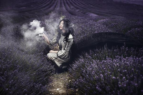 Velveteen Meditation by Sarah Ann Wright