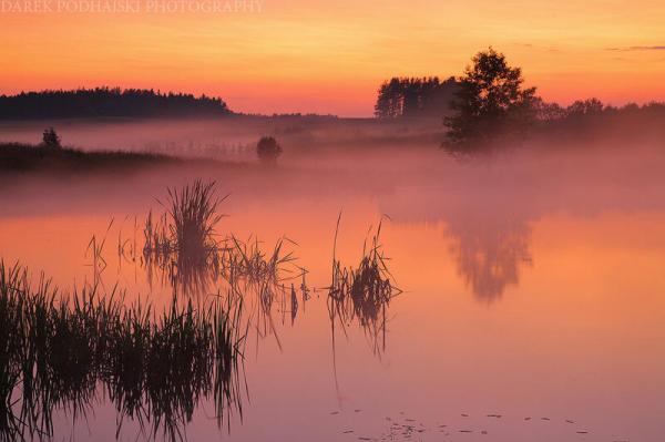 the night time begins600_399