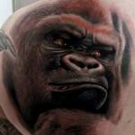 110 Animal Tattoo Designs with Meanings