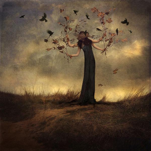 Beautiful Chaos by trini61