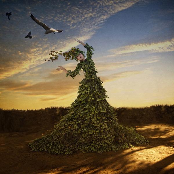 Changing Seasons by trini61