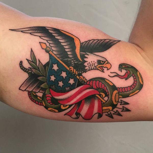 Eagle with American flag fighting with snake