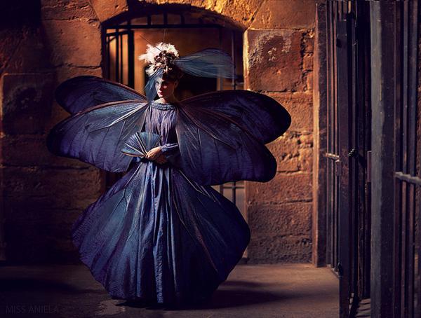 Nouveau papillon by Miss Aniela