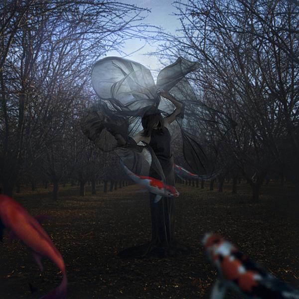 Spin Without Wind, Swim Without Water by trini61