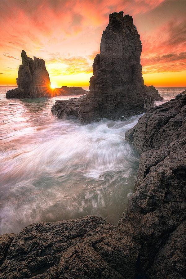 Stand Out by Joshua Zhang