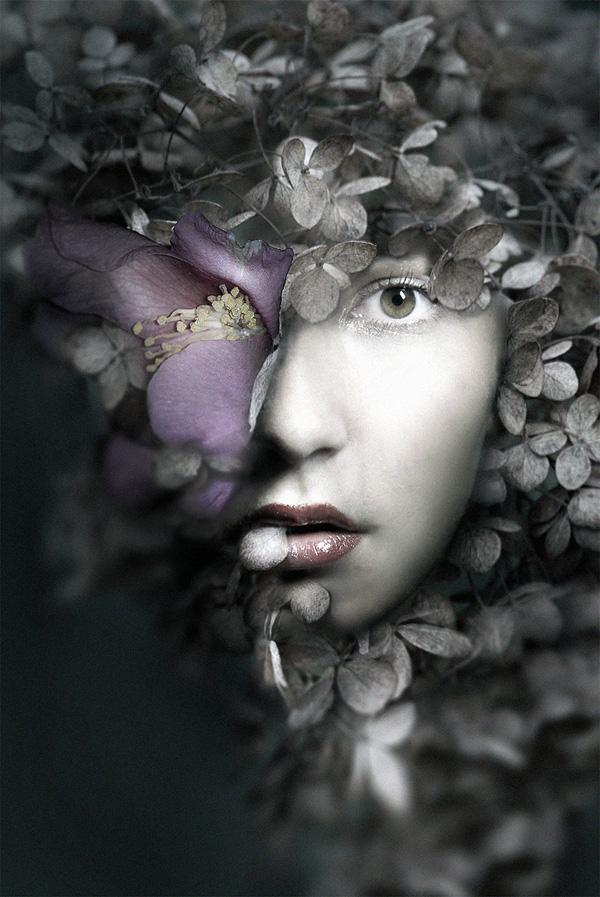 The Frail by Federico Bebber