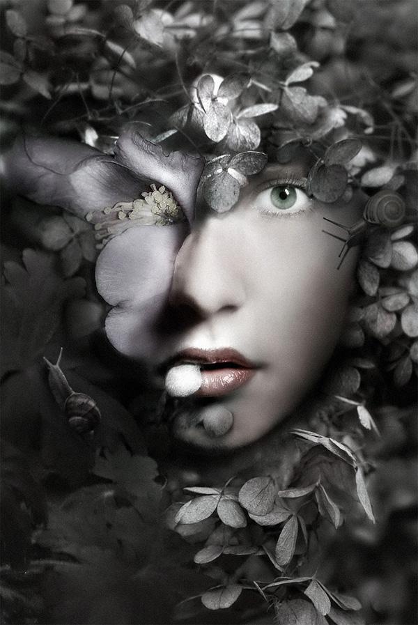 The Frail by Federico Bebber