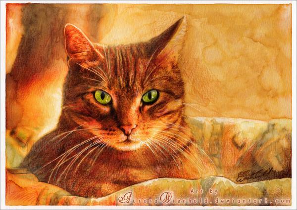 cat_at_sunset_by_aurorawienhold600_425
