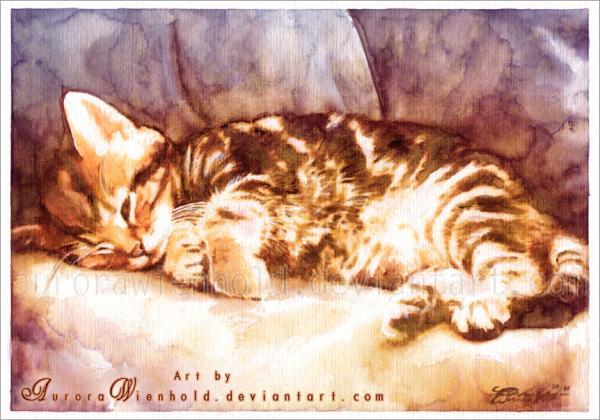 cat_nap_by_aurorawienhold600_420
