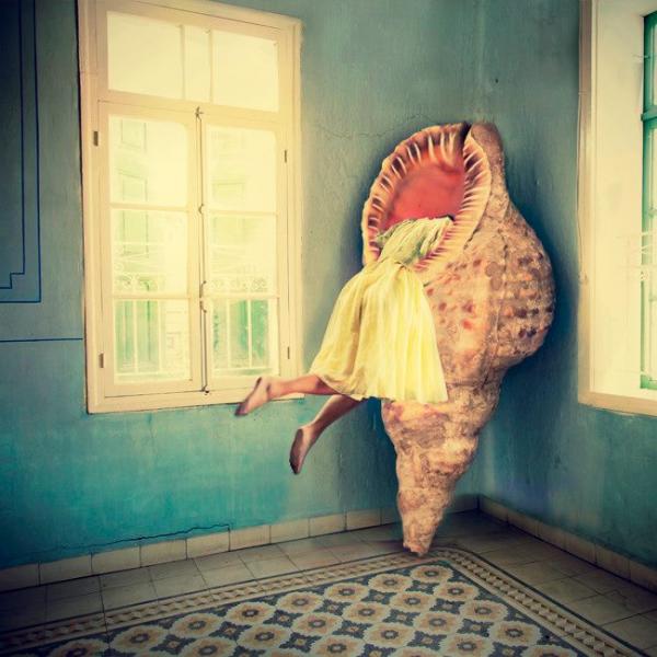 getting_into_her_shell_by_astridle600_600