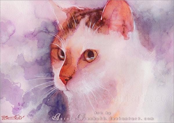 soft_fur_by_aurorawienhold600_425