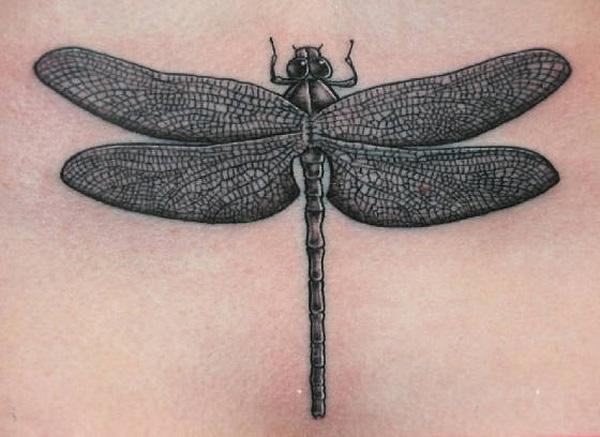 10 dragonfly tattoo Dragonfly tattoo with fine net texture on its wings