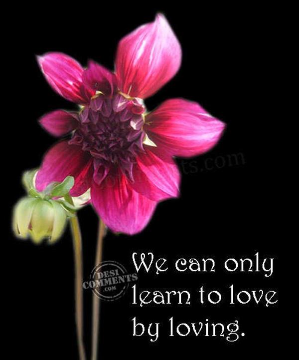 14 We can only learn to love by loving