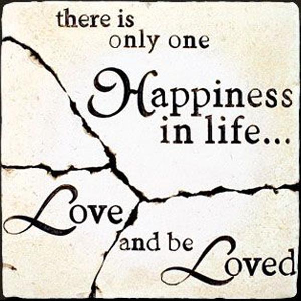 15 There is only one happiness in life love and be loved