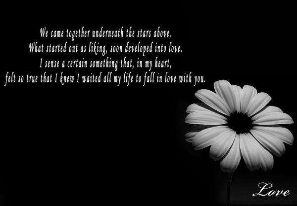 49 I sense a certain something that in my heart felt so true that I knew I waited all my life to fall in love with you