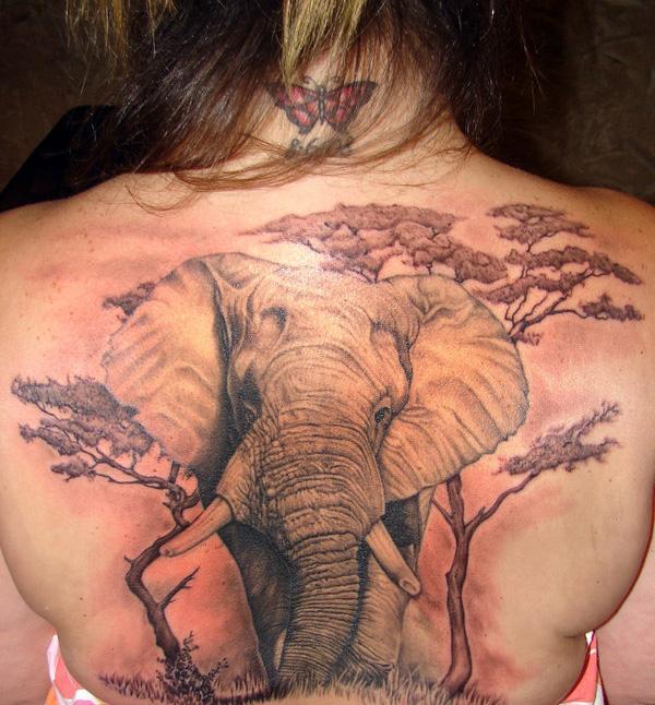 Nature call - a realistic elephant tattoo