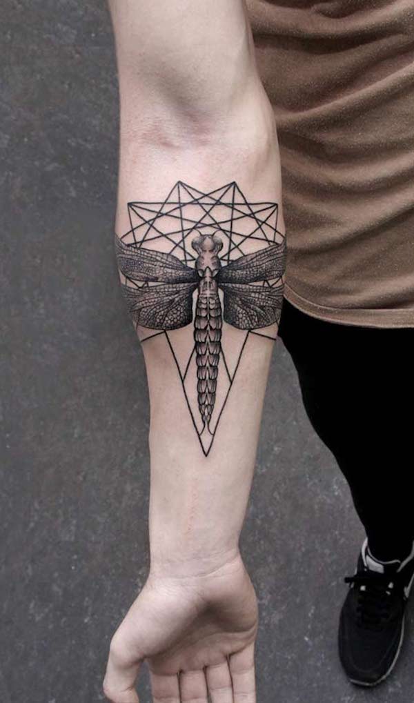 A dragonfly in three dimensional net