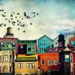 Photography by Tim Jarosz