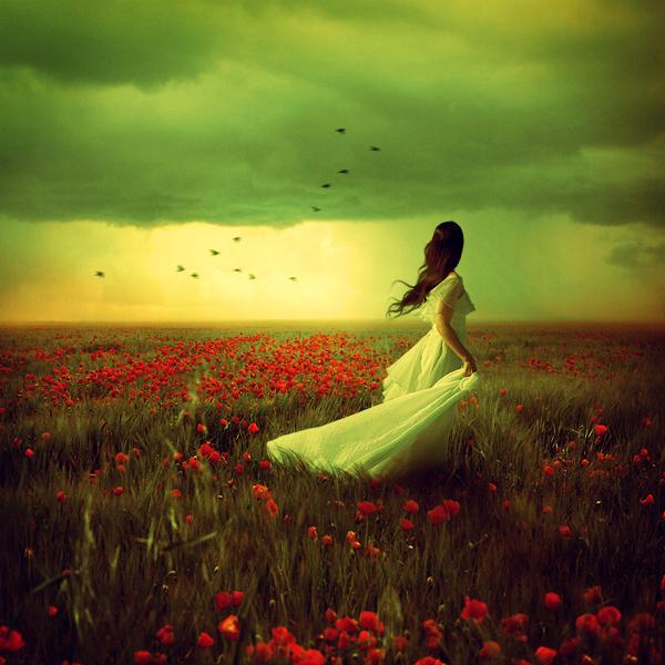 Dream Photography by Lilyenn | Art and Design