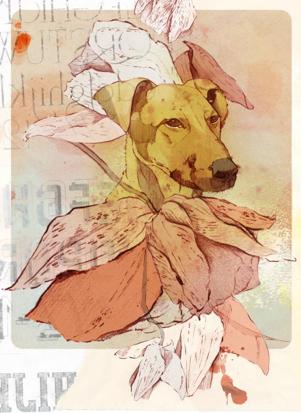 carolina ramirez_5600_822