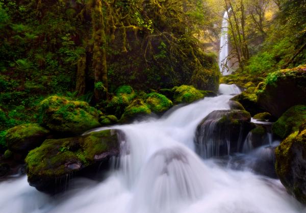 enchantment_by_Christina Angquico600_418