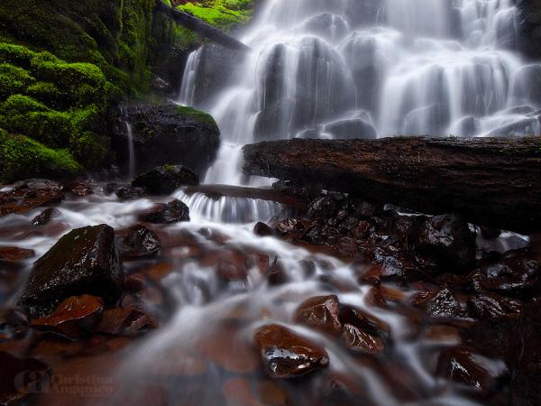 fairy's fall_by_Christina Angquico600_450