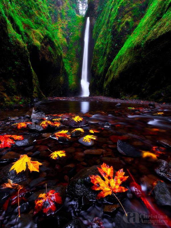 fall at oneonta_by_Christina Angquico600_800