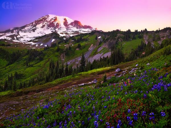 mt. rainier_by_Christina Angquico600_450