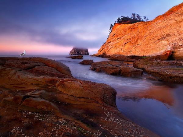 seagull rock cafe_by_Christina Angquico600_450