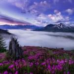 Photography by Christina Angquico