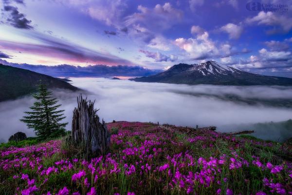 summer dew_by_Christina Angquico600_400