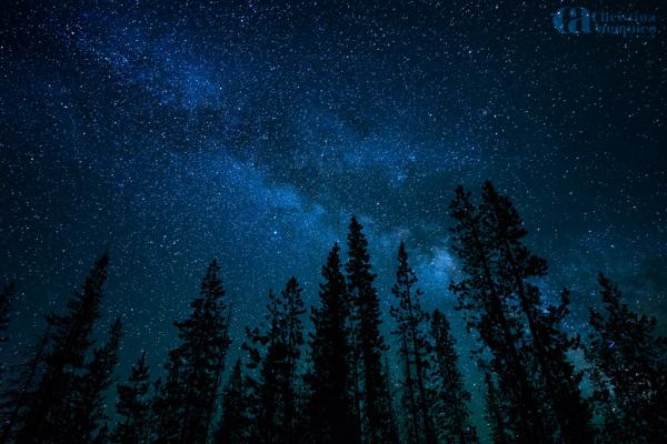 virgin_by_Christina Angquico600_400