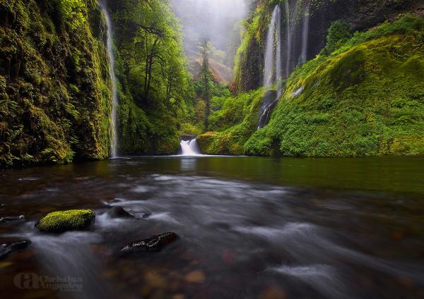 weeping walls_by_Christina Angquico600_424