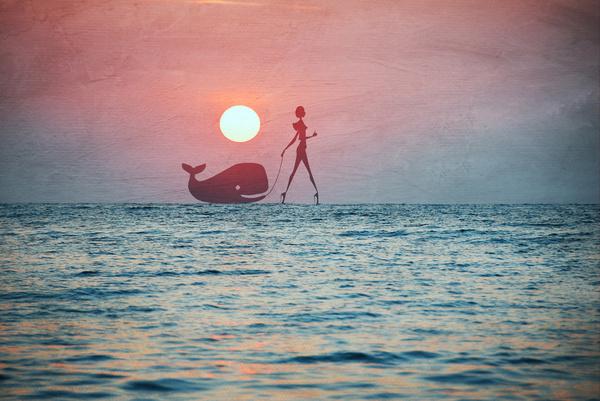 whale walk_by_Paula Belle Flores600_401