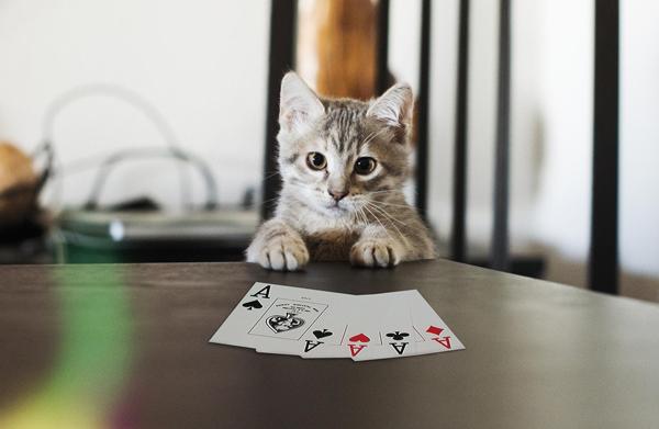 41 Maggie poker face