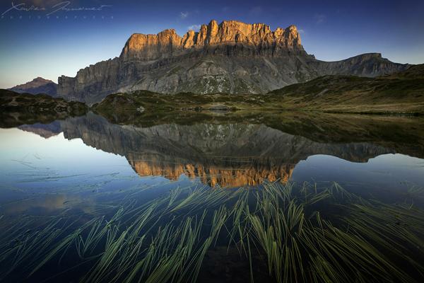 Origins of symmetry by Xavier Jamonet