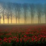 Photography by Waldemar Wienchol
