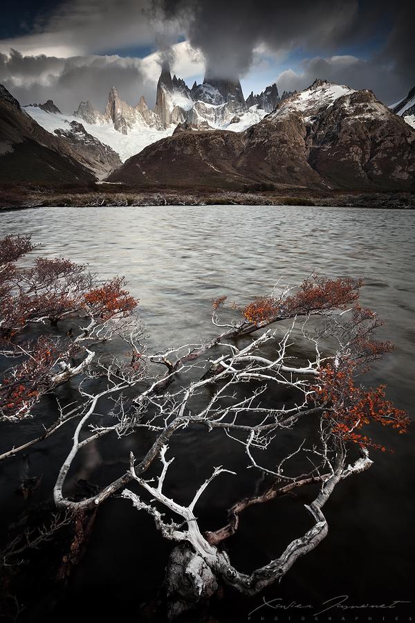 War of the worlds by Xavier Jamonet