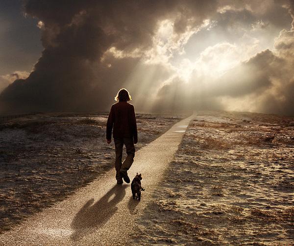 back on track by Mattijn Franssen