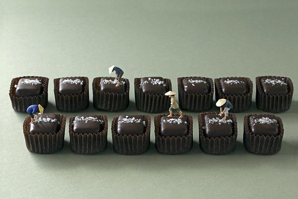 caramel salt harvesters 600px