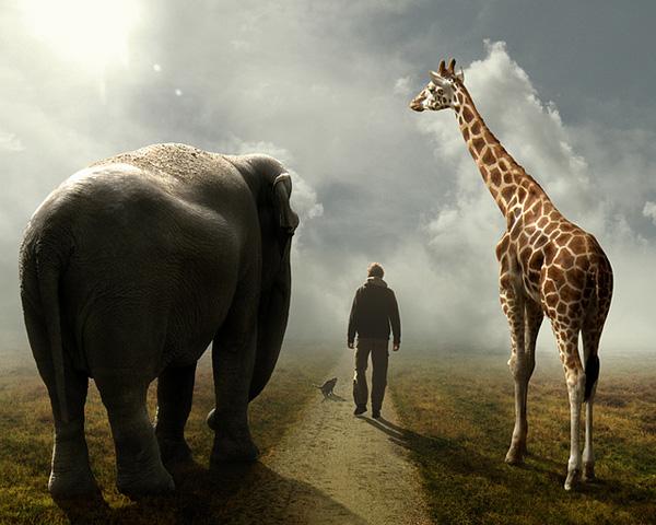 follow by Mattijn Franssen