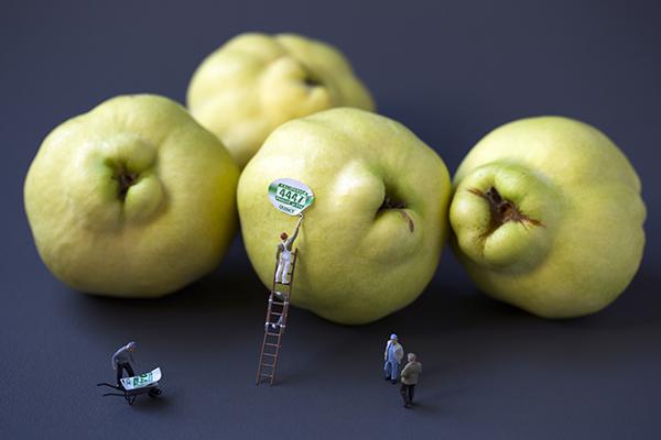 sticker removers 600px