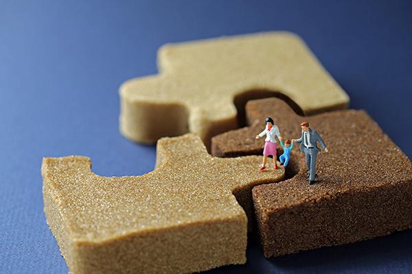 sugar puzzle family 600px