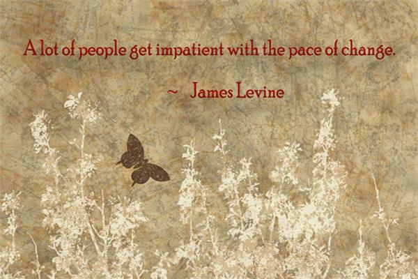 14 A lot of people get impatient with the pace of change