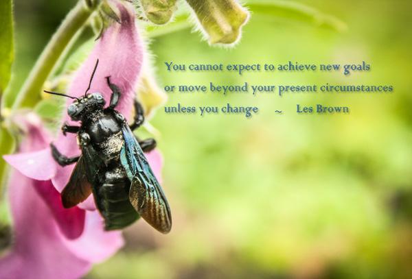 46 You cannot expect to achieve new goals or move beyond your present circumstances unless you change